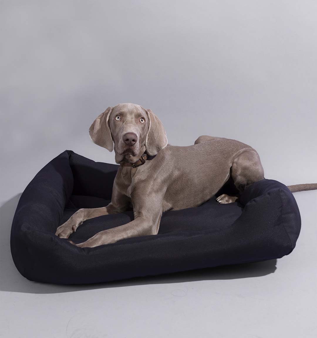 Cama para Mascota Loneta Negra