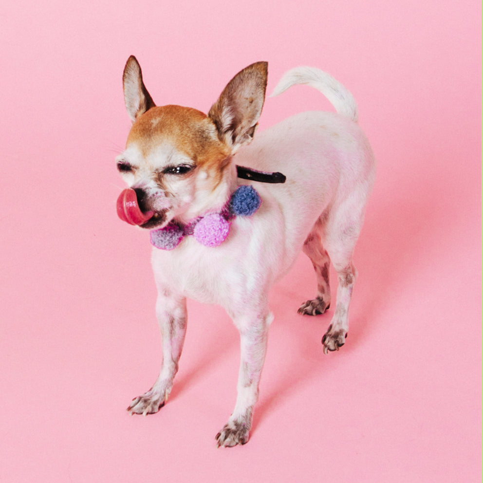 Collar Pompones