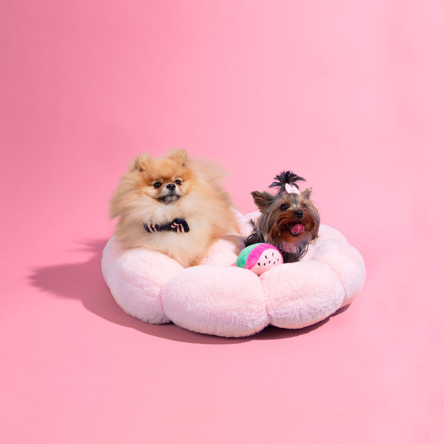 Cama Flor Pets