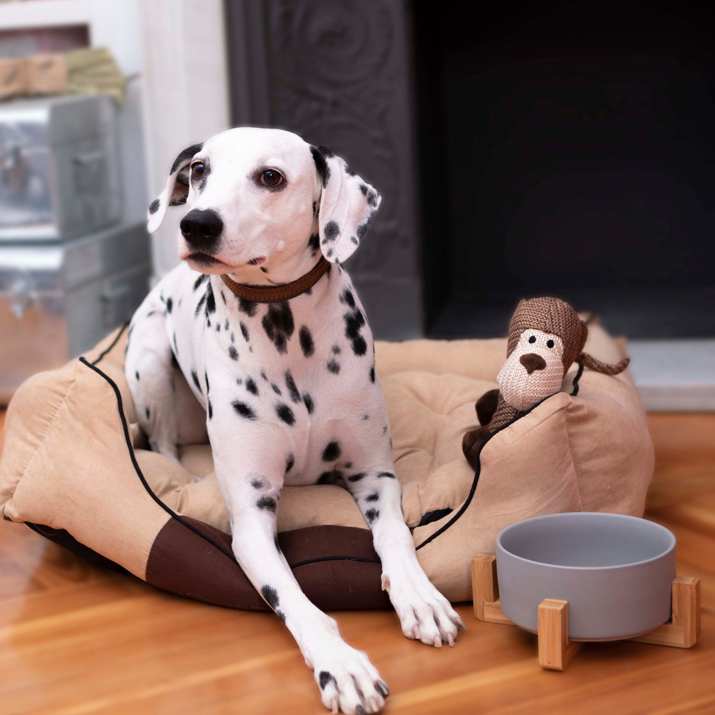 Cama para Mascota Soft Bicolor Beige