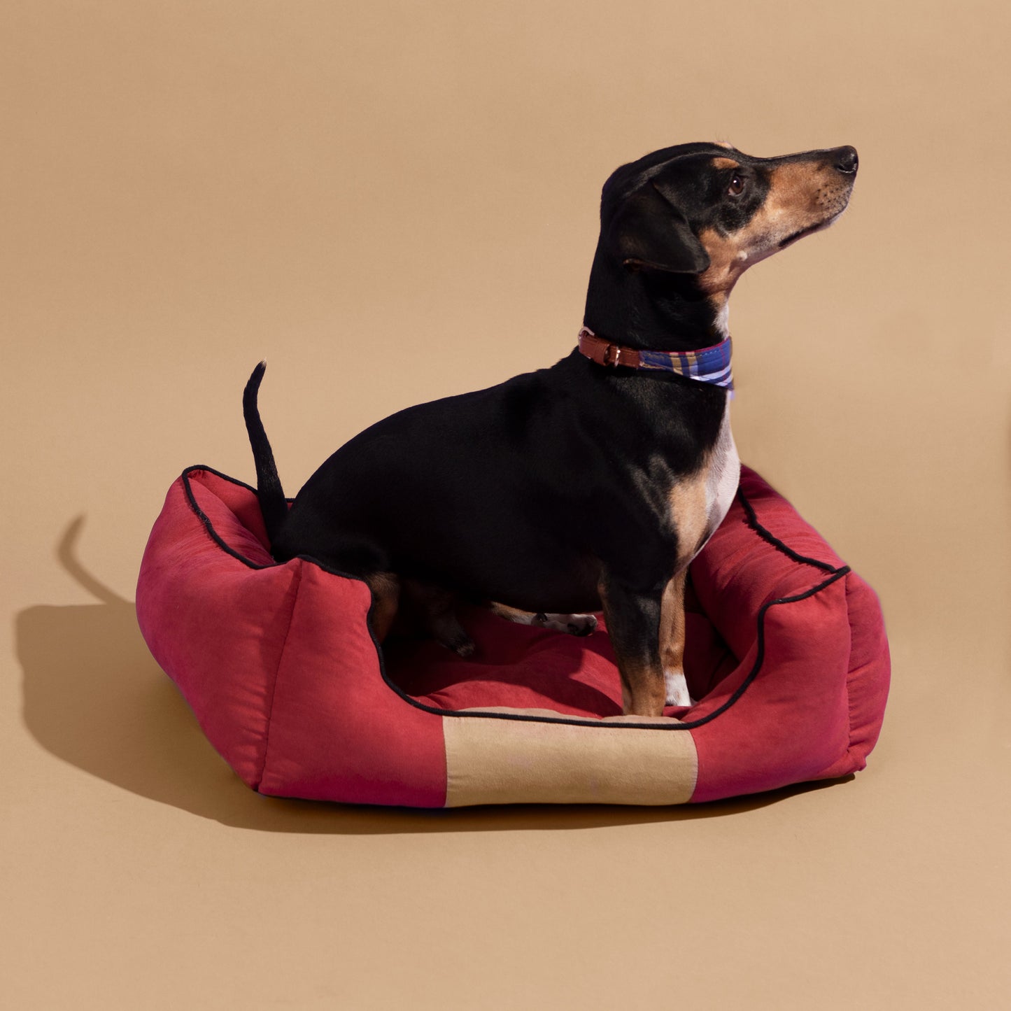Cama para Mascota Soft Bicolor Rojo