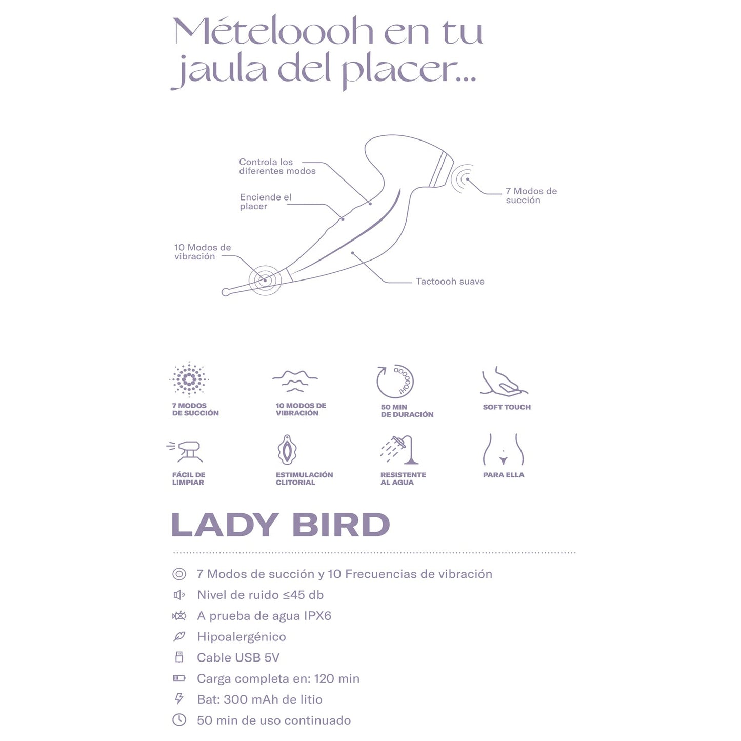 OOOH! LADY BIRD