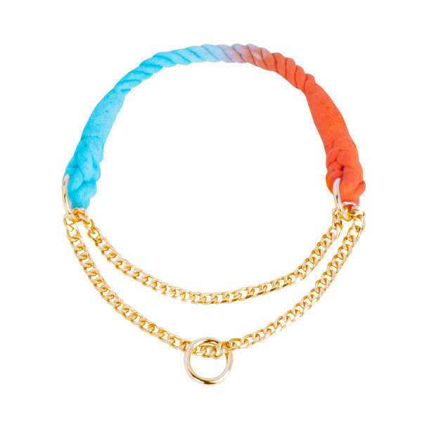 Collar Adiestramiento Colors con Cadena