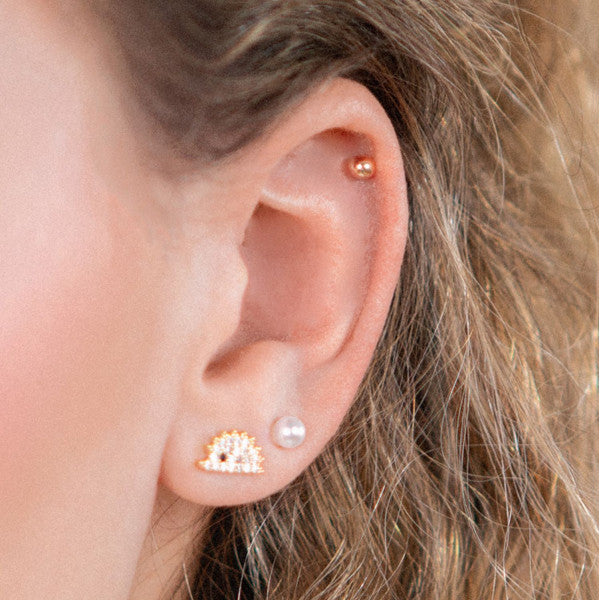Set Pendientes Animales