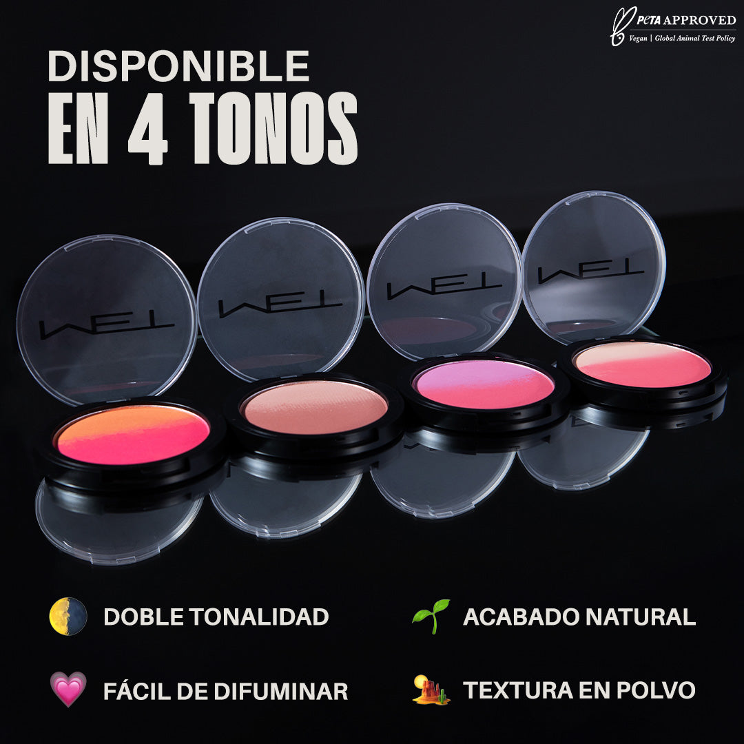 The Game Changer Ombré Blush Colorete