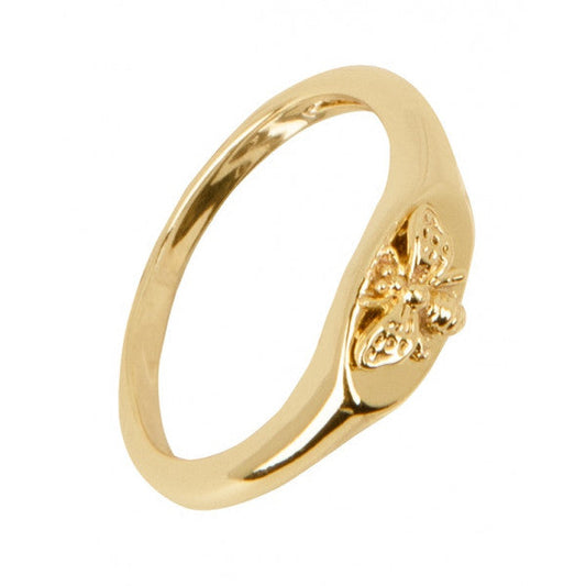 Anillo Mini Insecto