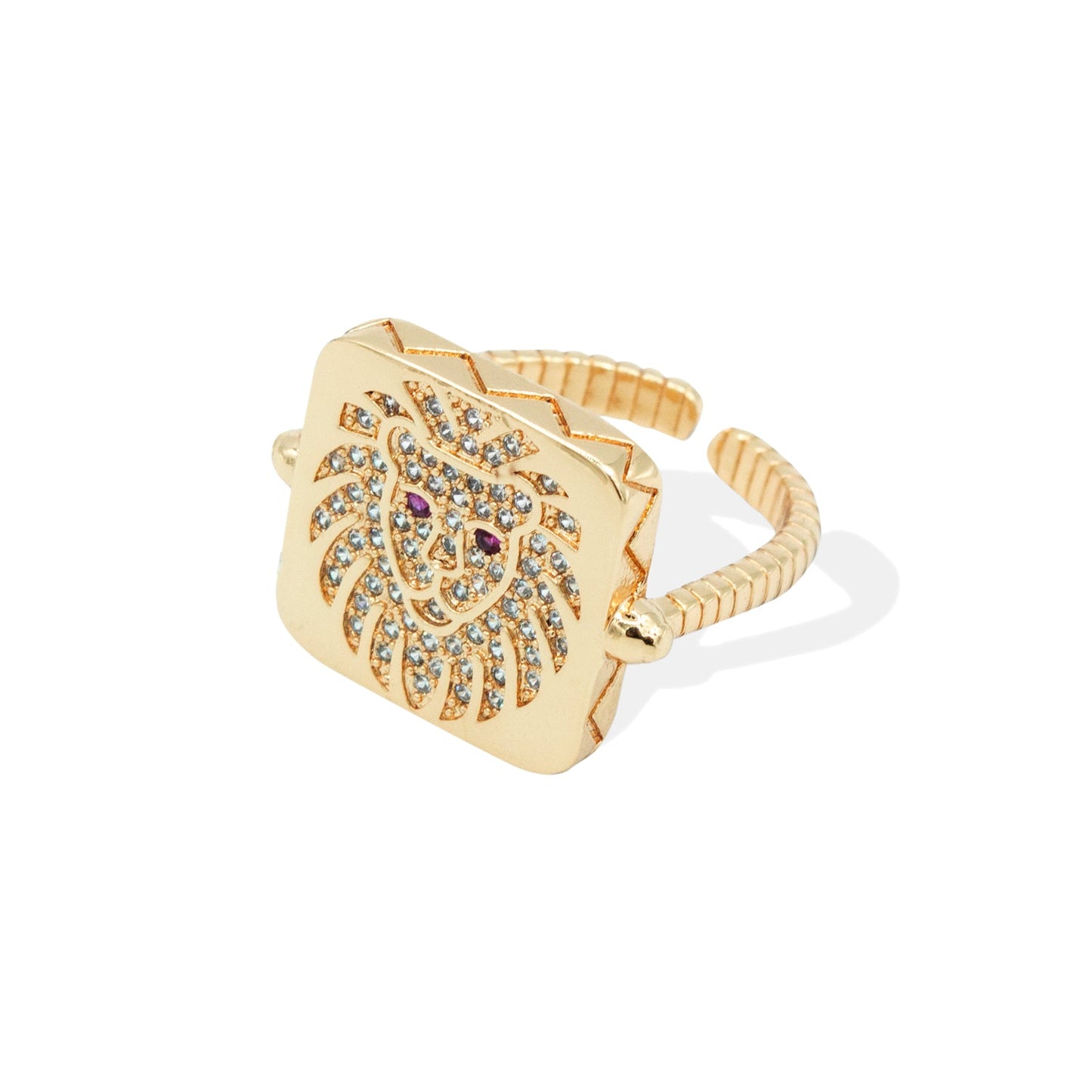 Anillo León