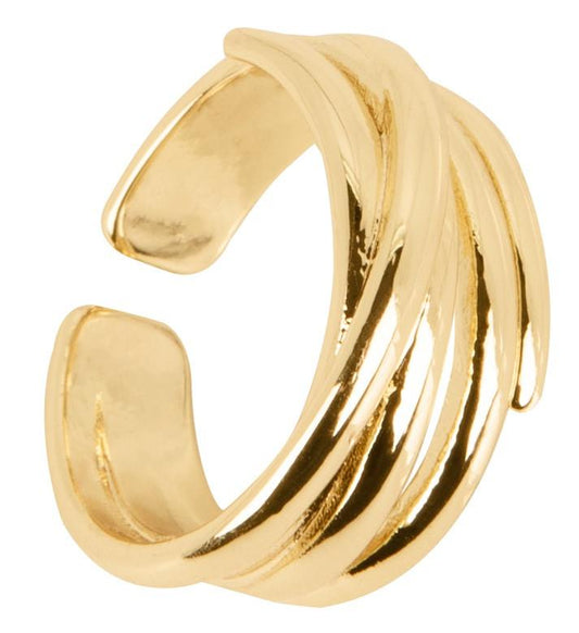 Anillo Líneas Salida