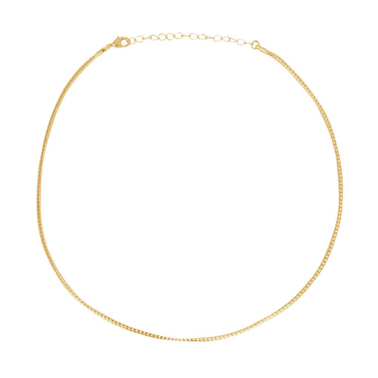 Collar Plano