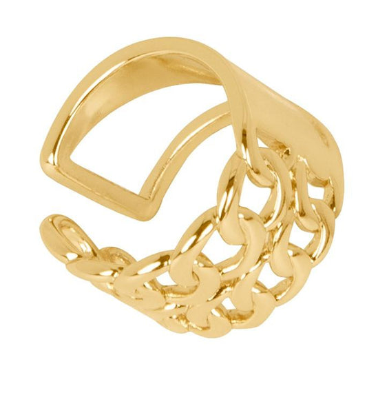Anillo Doble Cadena