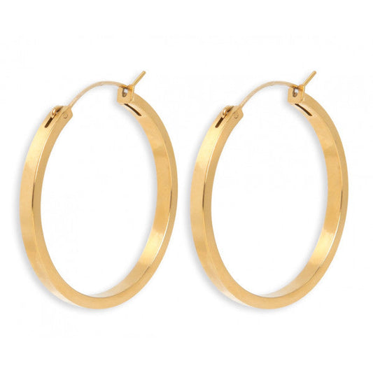 Pendientes Aro Plano
